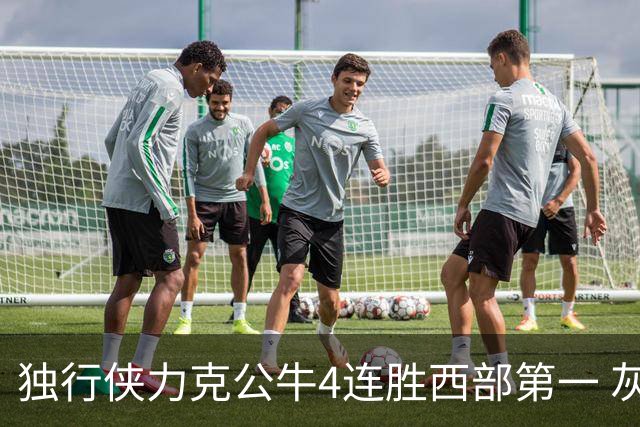 独行侠力克公牛4连胜西部第一 灰熊惨遭5连败